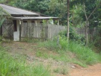 /album/galeria-de-fotos/mila-1583-jpg/